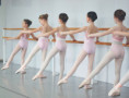 /album/www-balance-amp-harmony-it/propedeutica-jpg/